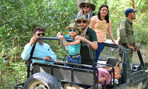 Best Jim Corbett Tour Packages From Delhi