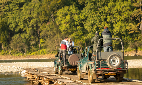 Best Jim Corbett Tour Packages From Delhi