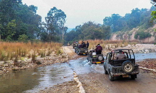 Best Jim Corbett Tour Packages From Delhi