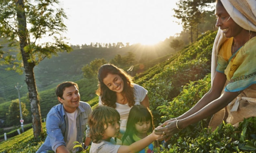 Best Kerala Tour Packages From Delhi | Best Kerala Tour Packages From Cochin